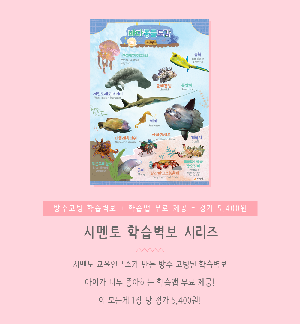 시멘토-학습벽보-통합편_상세페이지_01인트로.png