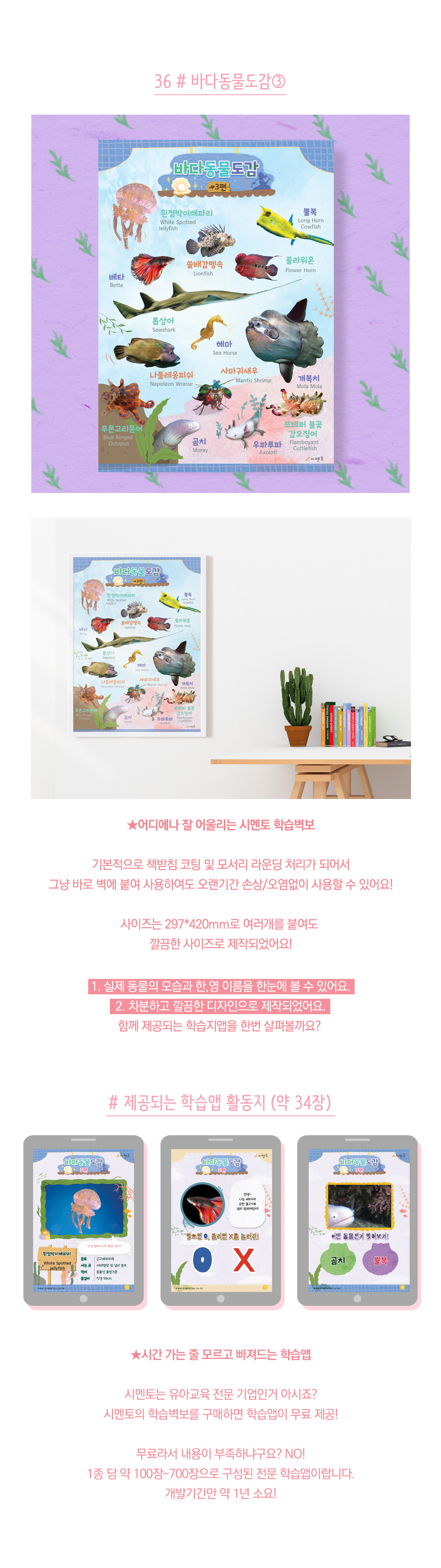 시멘토-학습벽보-통합편_상세페이지_05_-바다동물도감3.jpg