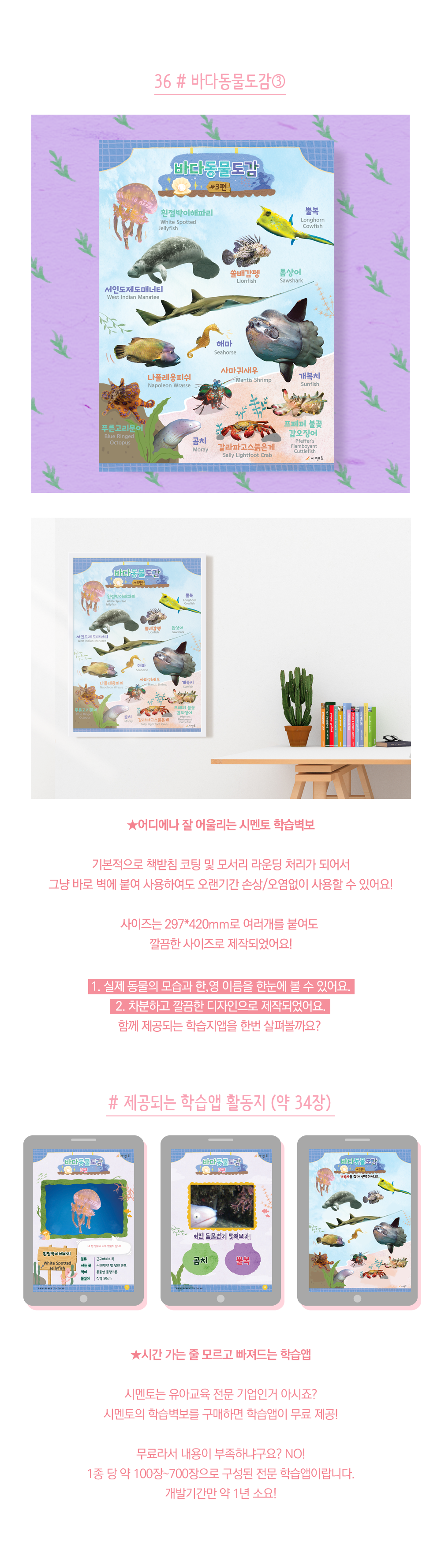 시멘토-학습벽보-통합편_상세페이지_05_-바다동물도감3.png